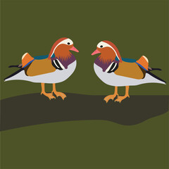 Mandarin Beautiful Duck-Vector Art Work