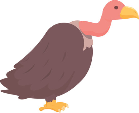 Old vulture icon cartoon vector. Animal tattoo. African feather