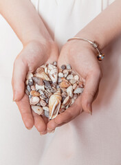 Many beautiful seashells in the hands of the girl