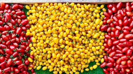 Yellow red fresh sweets cherry tomatoes 