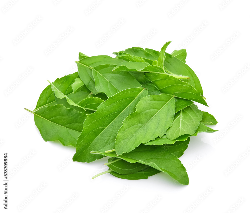 Wall mural basil flower leaves isolated on a white background