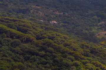Fototapeta premium House in the middle of the forest, far away view