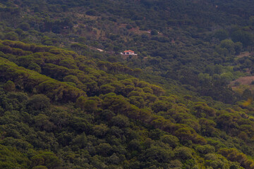 House in the middle of the forest, far away view