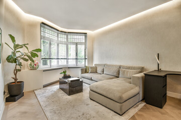 a living room with a couch, coffee table and plant in the corner on the right side of the room
