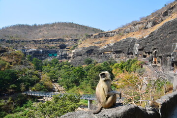 Obraz premium アジャンター石窟群に暮らすサル