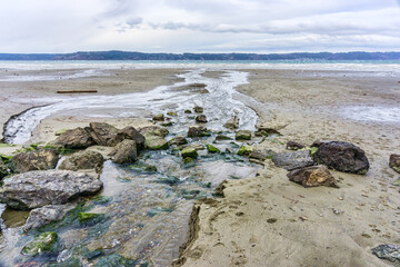 Windy Puget Sound Shoreline