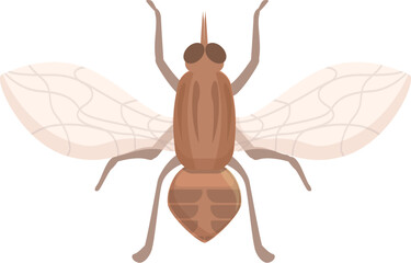 Glossinidae tsetse fly icon cartoon vector. Insect mosquito. Tik house
