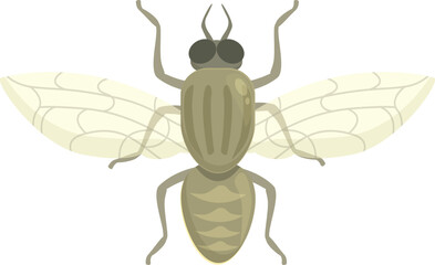Blood tsetse fly icon cartoon vector. Africa insect. Nature wings