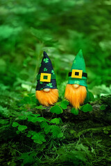 Fototapeta toy irish gnomes in mystery forest, abstract green natural background. magic friends dwarfs, fantasy nature. fairy tale image. spring or summer season. symbol of Ireland. st.Patrick's day. obraz