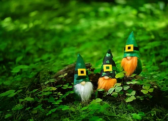 Gordijnen toy gnomes in forest, abstract green natural background. magic friends dwarfs in mystery nature. fairy tale image. spring, summer season. symbol of Ireland, St. Patrick day, traditional irish holiday © Ju_see