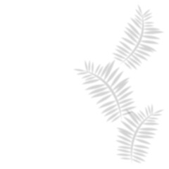leaf shadow decoration