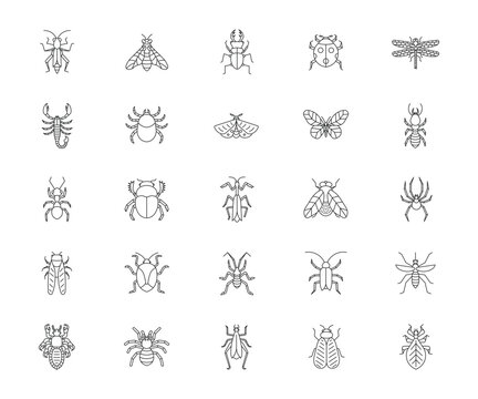 Collection of different bugs icon set of insects. Vector illustration.