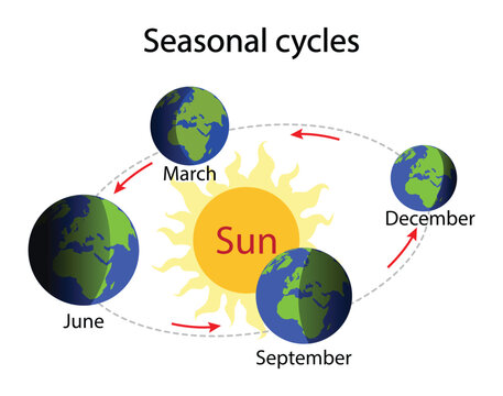 illustration of astronomy and physics, Seasonal cycles, The Earth revolves around the sun, seasons are the result of Earth's orbit