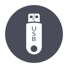 Usb pen drive icon