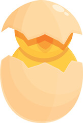 Chicken bird hatching icon cartoon vector. Easter egg. Funny shell