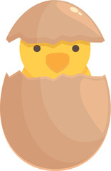 Family chicken icon cartoon vector. Baby chick. Easter bird