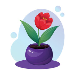 Red tulip in a flower pot - vector illustration on the theme of flowers, gardening, the eighth of March holiday