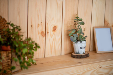 On wooden shelf stands Eucalyptus in a hand made pot with white scuffs. Rustic, Scandinavian style