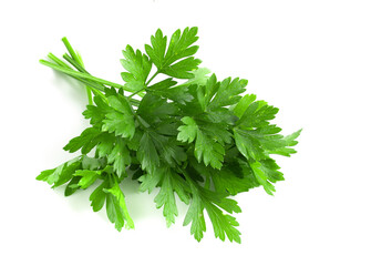 Bunch of fresh green parsley isolated on white background.