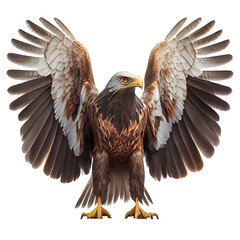 Obraz premium Eagle spread his wings isolated on transparent background. Generative AI