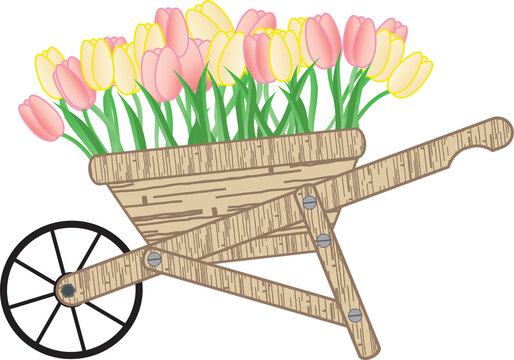 pink and yellow tulips in wooden wheelbarrow clip art preview