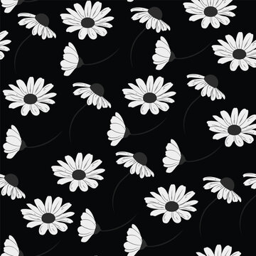 A black and white background with daisy flowers