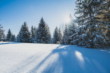 Alpine mountains landscape with white snow and blue sky. Sunset winter in nature. Frosty trees under warm sunlight.  Hiking winter to kralova hola, low tatras slovakia landscape © Zedspider