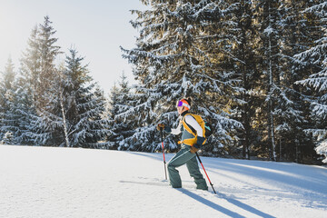 Mountaineer backcountry ski walking ski alpinist in the mountains. Ski touring in alpine landscape with snowy trees. Adventure winter sport. Kralova hola, Slovakia © Zedspider