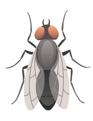 Housefly insect icon. Wildlife symbol in cartoon style. Scary insect. Graphic design element. Entomology closeup color vector illustration isolated on white background