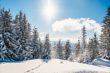 Alpine mountains landscape with white snow and blue sky. Sunset winter in nature. Frosty trees under warm sunlight.  Hiking winter to kralova hola, low tatras slovakia landscape © Zedspider