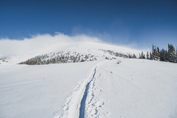 Alpine mountains landscape with white snow and blue sky. Sunset winter in nature. Frosty trees under warm sunlight.  Hiking winter to kralova hola, low tatras slovakia landscape © Zedspider