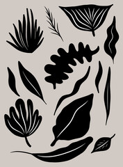 Modern abstract aesthetic illustrations with plants. Contemporary wall decor.