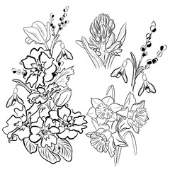 drawing bouquets of spring flowers