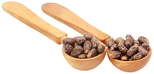 Castor beans in wooden spoon