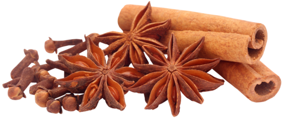 Some aromatic cinnamon with star anise and cloves