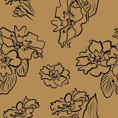 Spring flowers collection of primrose seamless pattern drawing