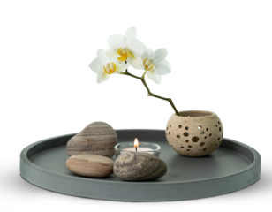 floral home decor with white orchid, candle and stones on ceramic plate isolated on transparent background, creative design concept for wellness at home