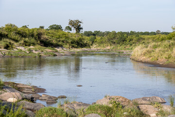 blue sky over the savannah of Africa