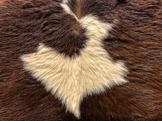 Real Cow Fur Skin Texture in Brown & White Color