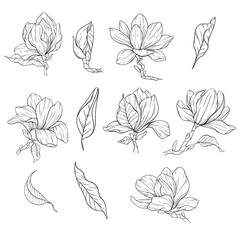 Floral Line Art. Magnolia Flower Outline for Floral Coloring Pages, Minimalist Modern Wedding invitations