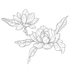 Floral Line Art. Magnolia Flower Outline for Floral Coloring Pages, Minimalist Modern Wedding invitations