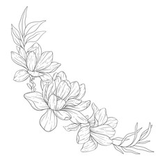 Floral Line Art. Magnolia Flower Outline for Floral Coloring Pages, Minimalist Modern Wedding invitations