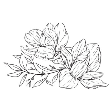 Floral Line Art. Magnolia Flower Outline for Floral Coloring Pages, Minimalist Modern Wedding invitations