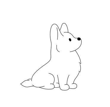 Vector isolated one single cute cartoon sitting welsh corgi puppy dog side view colorless black and white contour line easy drawing