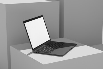 Laptop and Smarphone