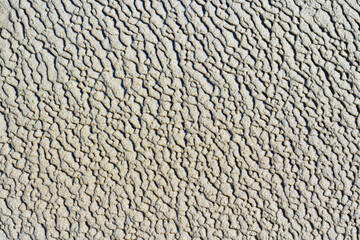 Nature's Canvas: Sand Background with Natural Textures