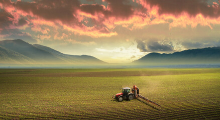Fototapeta premium Tractor spraying soybean crops field