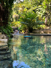 Fototapeta na wymiar Beautiful vibrant Garden with waterfalls and colorful flowers 