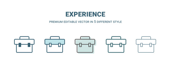 experience icon in 5 different style. Outline, filled, two color, thin experience icon isolated on white background. Editable vector can be used web and mobile