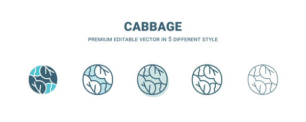 cabbage icon in 5 different style. Outline, filled, two color, thin cabbage icon isolated on white background. Editable vector can be used web and mobile